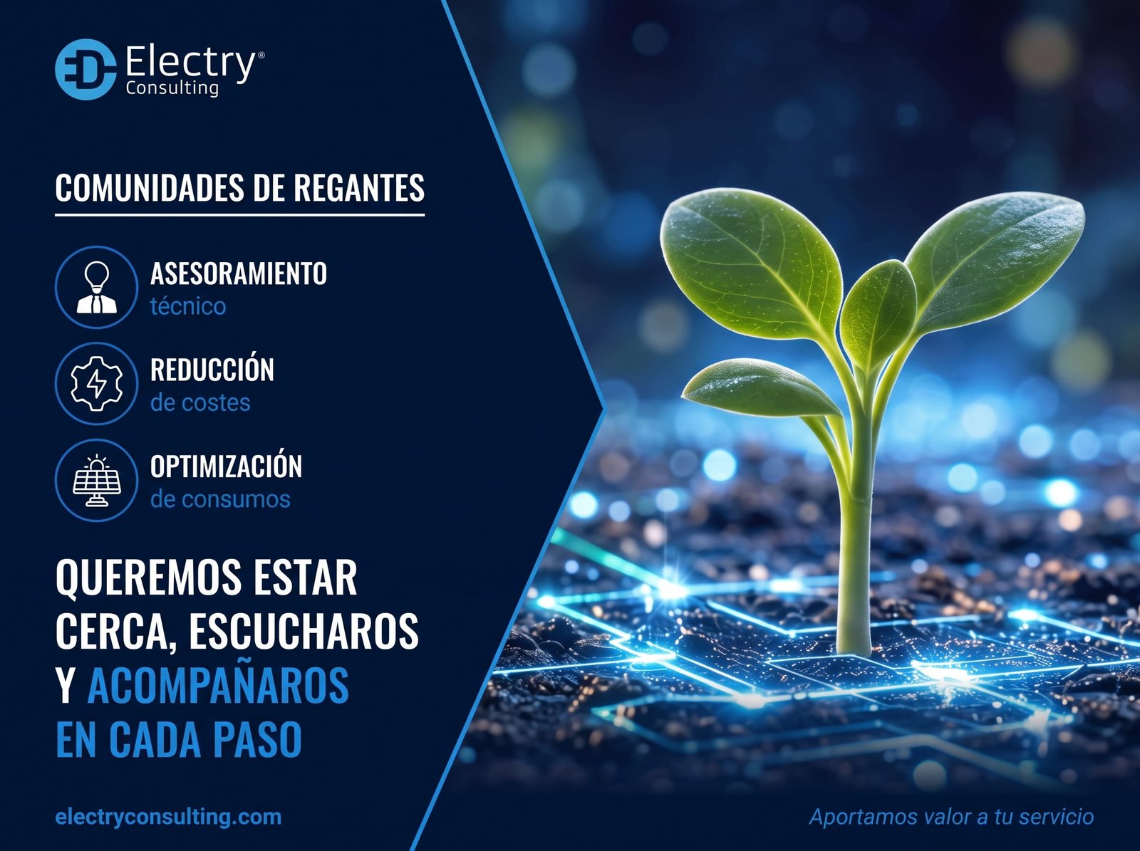 ElectryConsulting