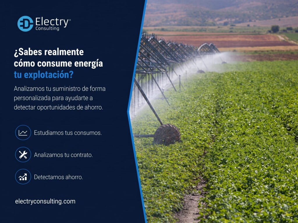 03-electry-consulting